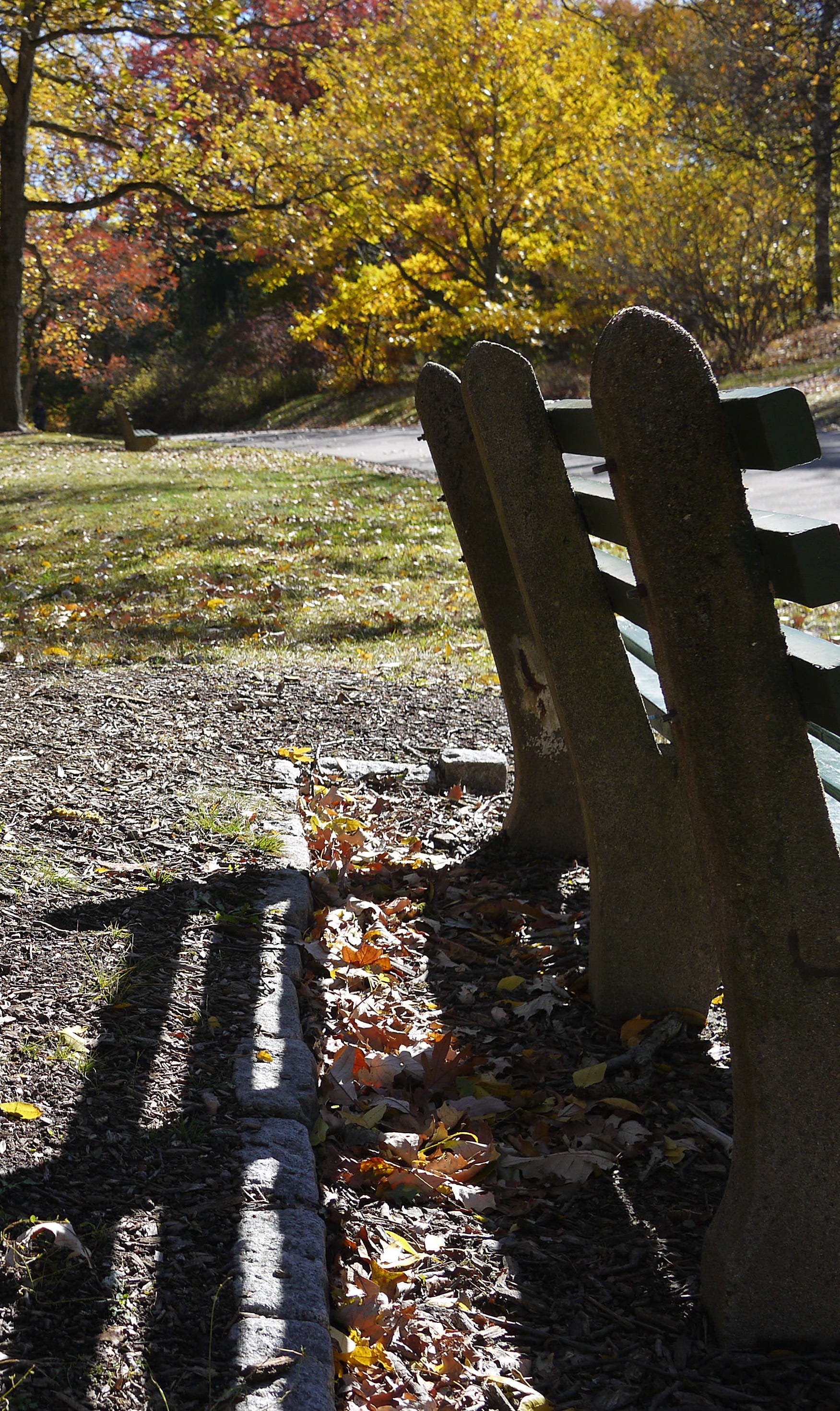 Park bench in sunshine